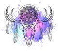 Mystical illustration of deer skull with feathers, mandala and neon watercolor stains. The object is separate from background.