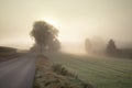 Mystical landscape in Bavaria in autumn. The sun slowly rises behind trees over a landscape covered in fog