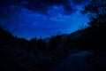 Mystical landscape of Full Moon Rising over tall green meadow with trees at Forest Royalty Free Stock Photo