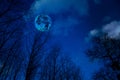 The mystical landscape of the night sky with a moon and silhouettes of trees Royalty Free Stock Photo