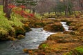 Mystical landscape Royalty Free Stock Photo