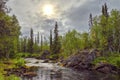 Woodland scenery Mystical landscape on the river P Royalty Free Stock Photo