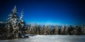 Mystical magical night landscape of snowy fir Royalty Free Stock Photo