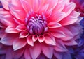 Mystical Magnificence: A Stunning Closeup of a Giant Dahlia\'s Re