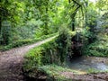 Mystical medieval bridge cover with nature in the middle of the forest in Pais Basco, Spain, on El Camino del Norte