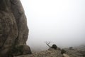 Mystical misty mountain landscape