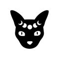Mystical moon cat. Black celestial animal vector illustration.
