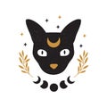 Mystical moon cat. Black celestial animal vector illustration