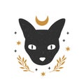 Mystical moon cat. Black celestial animal vector illustration.