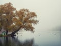 Mystical morning autumn landscape with fog over the lake Royalty Free Stock Photo