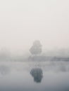 Mystical morning landscape with fog over the lake. Soft focus Royalty Free Stock Photo