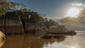 Mystical morning landscape on the river. Madagascar. Royalty Free Stock Photo