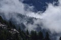 Mystical mountain landscape. Morning mist and pine woods Royalty Free Stock Photo