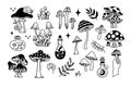 Mystical mushrooms isolated outline clipart set, magic line celestial mushroom, moon stars, witchy esoteric objects Royalty Free Stock Photo