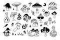 Mystical mushrooms isolated outline clipart set, magic line celestial mushroom, moon stars, witchy esoteric objects Royalty Free Stock Photo