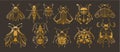 Mystical ornamental beetle, bug clipart bundle in golden foil texture, magic golden colored insects silhouettes in