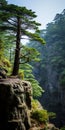 Mystical Pine Tree On Canyon Mountainside - Traditional Chinese Style