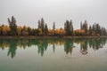 Mystical rainy autumn morning landscape with rain and snow over the lake. Reflection of coniferous trees in shiny calm water. Royalty Free Stock Photo