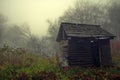 Autumn background. Mystical refuge abandoned in the forest. Autumn landscape