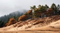 Mystical Sand Dunes With Enchanting Tree Tops