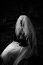 Halloween time, girl in white veil at forest Royalty Free Stock Photo