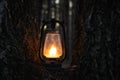 Mystical scene with old kerosene lamp in the forest. Vintage gas lantern lighting.