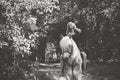 Woman with a horse at forest, mystical scene