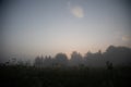 Mystical Serenity: Foggy Summer Morning in the Countryside