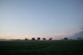 Mystical Serenity: Foggy Summer Morning in the Countryside