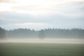 Mystical Serenity: Foggy Summer Morning in the Countryside