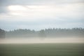 Mystical Serenity: Foggy Summer Morning in the Countryside