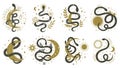 Mystical snakes. Floral boho and astrology minimalist elements with wriggling snakes vector illustration set. Magic