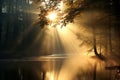 Mystical sunbeams streaming through a serene misty forest with enchanting sun light rays Royalty Free Stock Photo