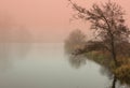 Mystical sunrise in autumn by the pond Royalty Free Stock Photo