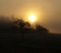 Mystical sunrise, South Bohemia