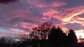 Mystical sunset over trees in autumb Royalty Free Stock Photo