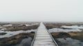 Mystical Swamp Path In Iceland: A Captivating Journey Into The Fog