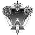 Mystical symbols of origin of life: shell, radiolaria, larva. sacred geometry.