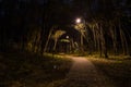 Mystical trail in the night forest in the park with glowing lanterns. Frightening tree branches.