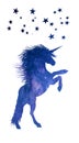 Mystical unicorn with stars and night sky view vector