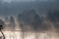 Mystical view of forest landscape