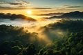 Mystical view from top on forest under haze at early morning. Eerie mist among layers from tree silhouettes in taiga under predawn Royalty Free Stock Photo