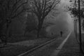 Mystical Walk path with fog silhouette of trees and man, misty w