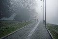 Mystical Walk path with fog silhouette of trees and man, misty walkside, foggy place