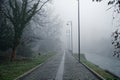 Mystical Walk path with fog silhouette of trees, misty walkside, foggy place