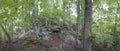 Mystical walk with remains of the Merovingian and medieval epochs in the forest near Eguisheim, France