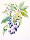 Mystical Watercolor Mistletoe Leaves and Berries AI Generated