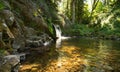 Saut du bouchot canyon in the vosges mountains