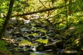 Saut du bouchot canyon in the vosges mountains