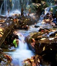 Mystical Waterfall Through Wet Mossy Rocks with Autumn Leaves Falling Around Royalty Free Stock Photo